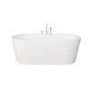 *Only One Available* Wyatt 67 Inch Acrylic Double Ended Freestanding Tub Package