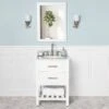 Everett 24 Inch Birch & Oak Console Vanity With Oval Undermount Sink - White